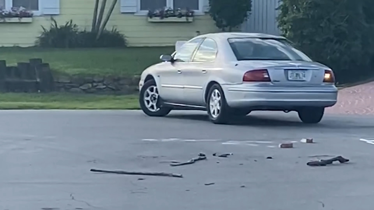 Dog left alone in car drives in circles for an hour - ABC7 New York