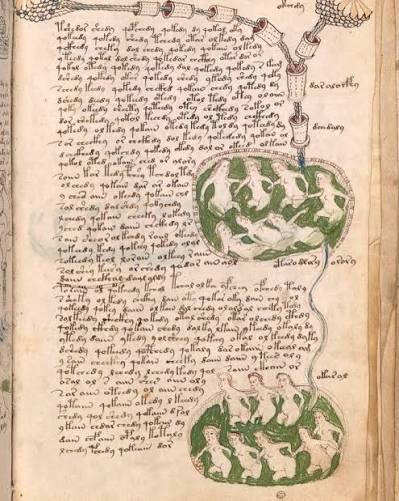 A 600-year-old book that no one has ever been able to read 🕯️Someone in medieval Europe sat down and wrote a 240-page book in a language that has never existed anywhere else